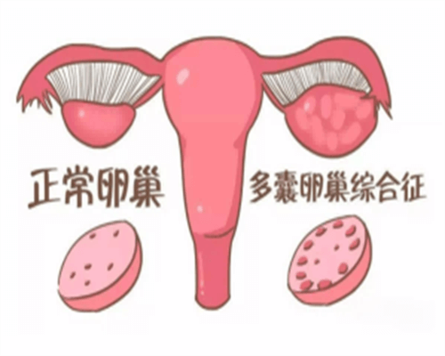 厦门专业助孕机构-助孕生殖国际
