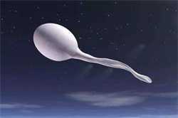 胎儿发育最快的3个阶段，代孕多吃“长胎不长肉