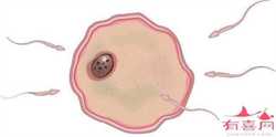 濮阳代孕网：助孕后大便不成型很常见，但也得